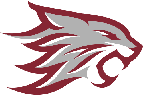 Chico State Wildcats